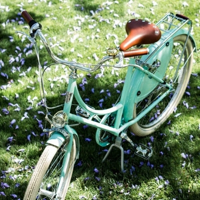 Beautiful Bikes - Designs Available Right Now