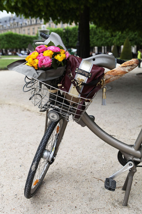 Bike Pretty on the Paris Vélib
