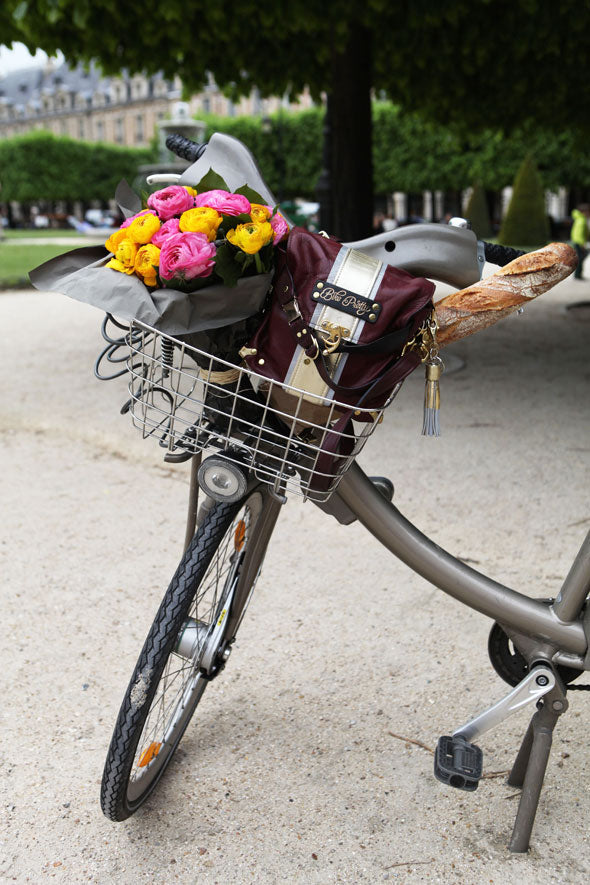 Bike Pretty on the Paris Vélib