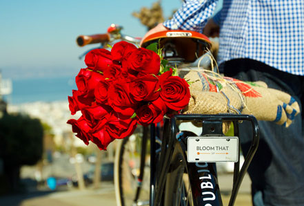 Flower Delivery by Bike
