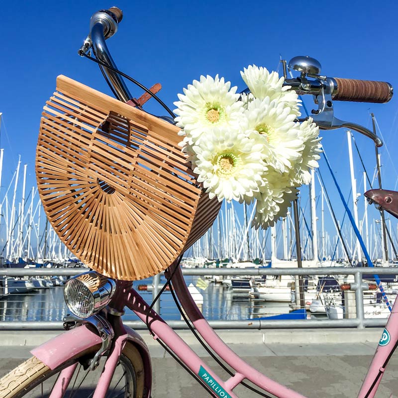 BIKE PRETTY®️ Half Circle Bamboo Bike Bag